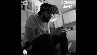 Zonart - La Zonardise