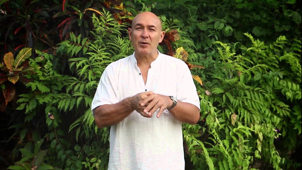 Radiantly Alive Acupressure Certification Training Course YouTube