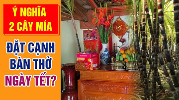 Ý nghĩa của 2 cây mía đặt cạnh ban thờ ngày Tết? | Phong Thủy Và Sức Khỏe