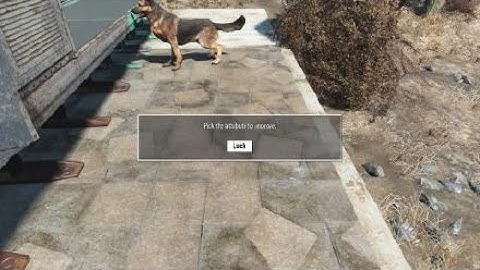 Fallout 4_20211221224109 Dogmeat conveyor Belt Storage Special Book duplication Method Max stats