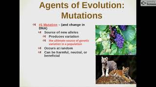 Chapter 16 & 17 Evolution and Natural Selection Part 3
