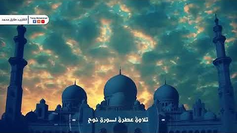 ما اجملها تلاوه ترق لها القلوب لاتوصف من سورة نوح | طارق محمد