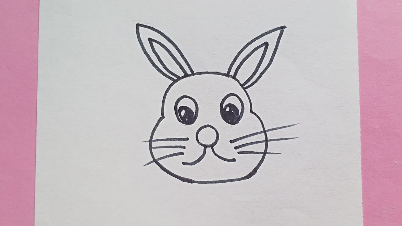 How to draw a rabbit bunny face🐰 Easy Rabbit Drawing YouTube