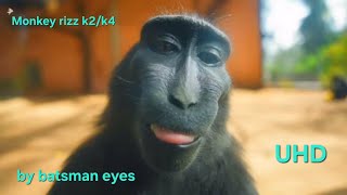 Monkey rizz (k2/k4) short video
