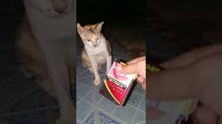 masukberanda Httpsyoutubecomplaylistlistrdjuuhk9fyb2oplaynext1sizqulnuop8uz7jw06