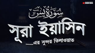 অন্তর শীতল করা সূরা ইয়াসিন এর সুন্দর তিলাওয়াত । Surah Yasin Recited by Alaa Aqel | Sikhun Surah