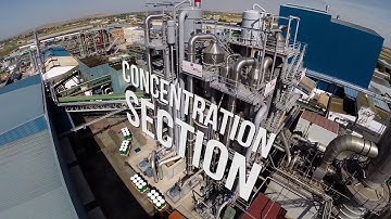 Tomato Processing Line: Guaranteed Quality and Innovation