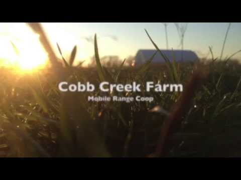 Mobile Range Coop - Cobb Creek Farm