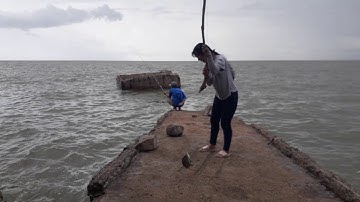 câu cá ở hòn đá bạc cà mau 2020