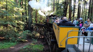 Roaring Camp Railroad Redwood Forest Steam Train