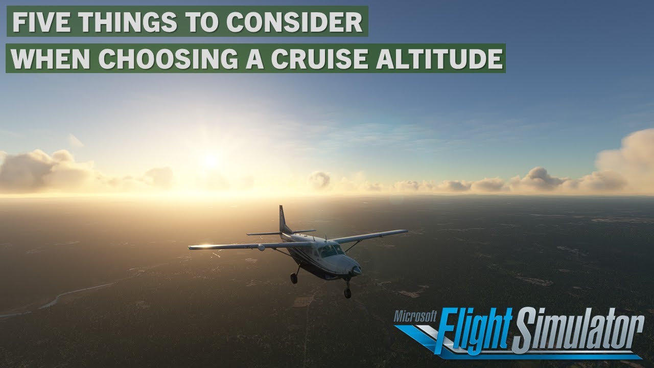 cruise altitude flight