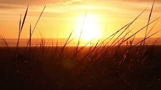 Sunrise Serenity – Relaxing Lofi Beats to Start Your Day