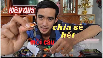 Các con mồi giả câu Cá Lóc có thật sự hiệu quả? Kể ra hết ưu và khuyết điểm từng con - Vinh Ròm