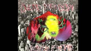 Video thumbnail of "Dead Meadow - Yesterday's Blowin Back"