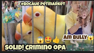 #part 2 #bocaue petmarket# Crimino opaline ni boss Aljon sobrang solid Ang ganda#Am bully