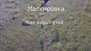 Как видит утка, маскировка на охоте. Лодка