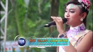 jihan audy dalan anyar new pallapa