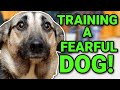THE BEST WAY TO TRAIN A FEARFUL/NERVOUS DOG!