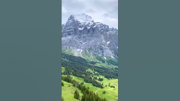 قل ان صلاتي ونسكي ومحيايي ومماتي /مقطع قران قصير تلاوة خاشعة بصوت الشيخ محمود القزاز