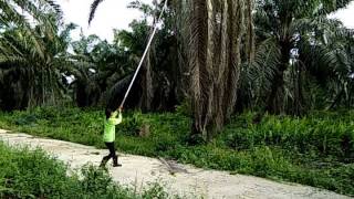 Download Lagu Sasak terbaru 2017 corong angen MP3