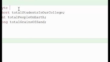 Java Primitive Data Types BlueJ in American Accent