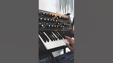 Moog Subsequent 37 and Strymon BigSky