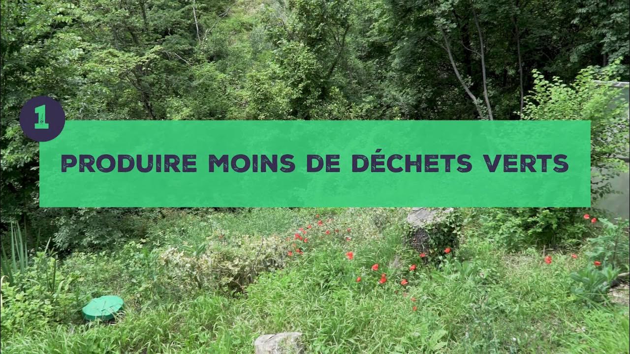 Bonnes idées pour gérer les déchets végétaux 