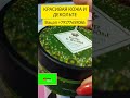 крем-масло для тела #уходоваякосметика #кремдлятела #красиваякожа