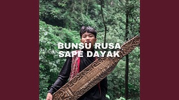 BUNSU RUSA SAPE DAYAK