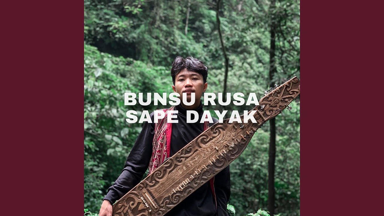 BUNSU RUSA SAPE DAYAK
