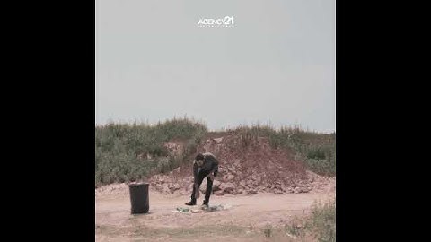 Ecosystem , पारिस्थितिकी तंत्र