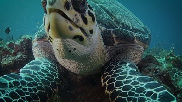 Liquid Motion Film: Centralized Storage to Streamline Collaboration - Synology