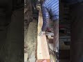 wood cutting saw machine  #shorts #saw