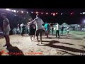 عامل هيلولة الحبيب الجبالي