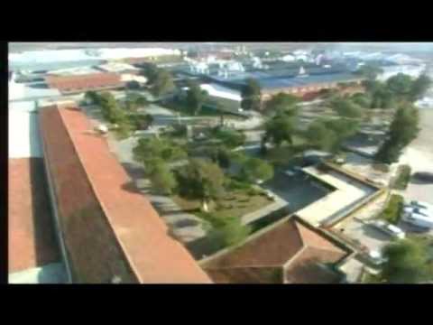 SNT Video - YouTube