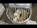 Sunrry commercial dough mixerdough spiral mixernecessary for bakery
