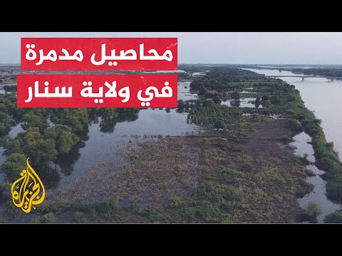 السودان فيضانات مياه النيل الأزرق تسببت في إتلاف محاصيل رئيسية
