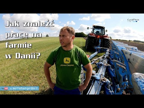 Wideo: Jak Uzyskać Wizę Do Danii?