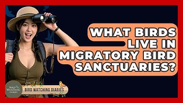 What Birds Live In Migratory Bird Sanctuaries? - Bird Watching Diaries