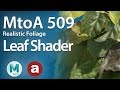 MtoA 509 | Leaf Shading | Realistic foliage using Arnold5 and Maya