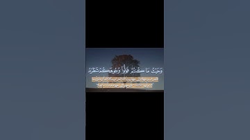 من سورة البقرة #اكسبلور #المصحف #المنشاوي #راحة_نفسية #quotes