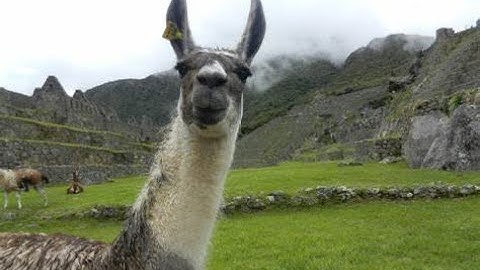 Q&A In Natural Language Over Multiple Text Documents Using Llama Index (FULL)