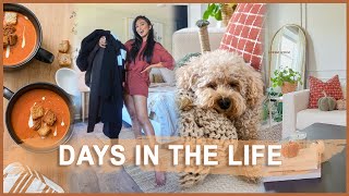 Cozy fall vlog| Thrifting winter coats, fall cooking at home, Guest room makeover plan #autumnvlog by Shikha Singh 674 views 1 year ago 20 minutes