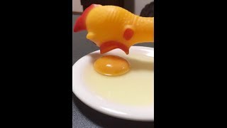 #chicken #egg did the chicken come first?? subscribe to nolaunchpad:
http://www./nolauchpad?sub_confirmation=1 http://ww...