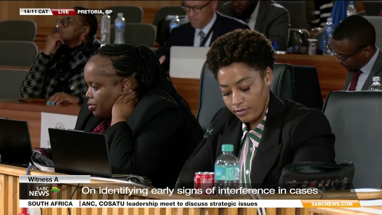 Witness A Tells Madlanga Commission About 'White House on the Hill' Party Invite