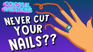 What If You Never Cut Your Fingernails? Colossal Questions