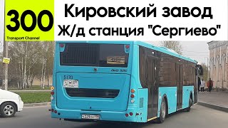 Автобус 300 "Кировский завод - Железнодорожная станция "Сергиево" ЛиАЗ-5292.65 б/н 5170