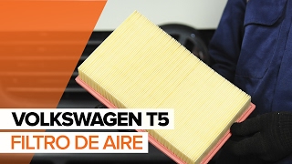 Reparación VW VW Multivan T5 (7HM, 7HN, 7HF, 7EF, 7EM, 7EN) VR6 3.2 de bricolaje - vídeo guía para coche