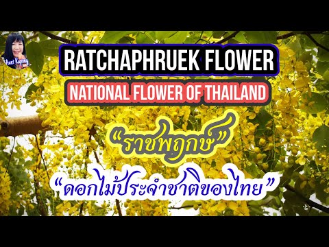 วีดีโอ: พืชประจำปีในภาคตะวันตกเฉียงใต้ – ดอกไม้ประจำปีสำหรับรัฐตะวันตกเฉียงใต้