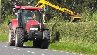 Hedge-Cutting with Case.